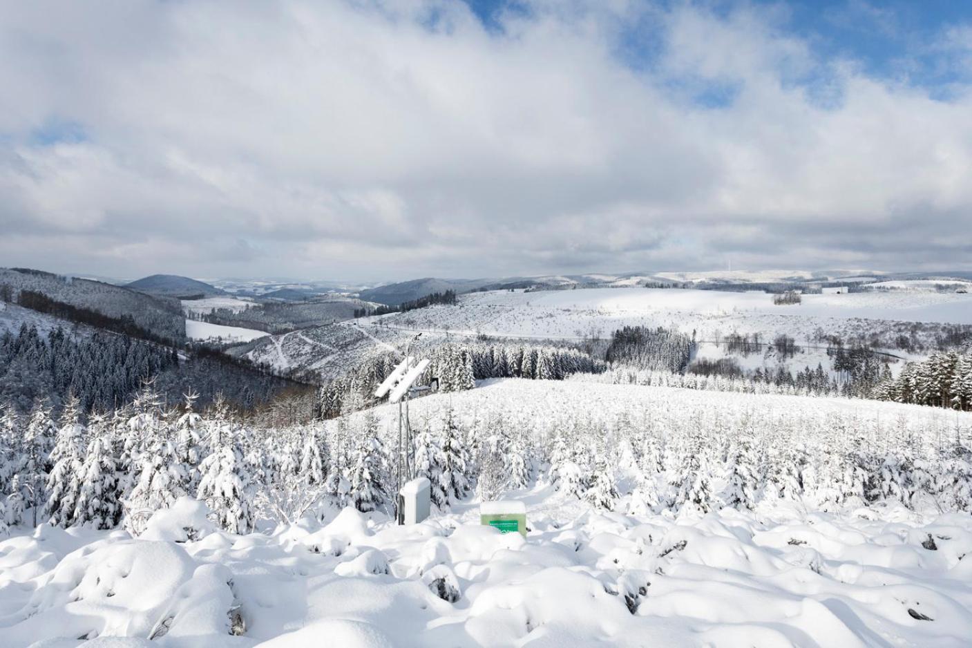 Am Finkenbusch Aan De Skipiste Willingen  Εξωτερικό φωτογραφία